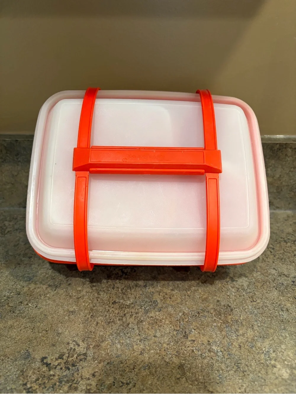 Tupperware Vintage Pack N Carry Retro Lunch Box Set
